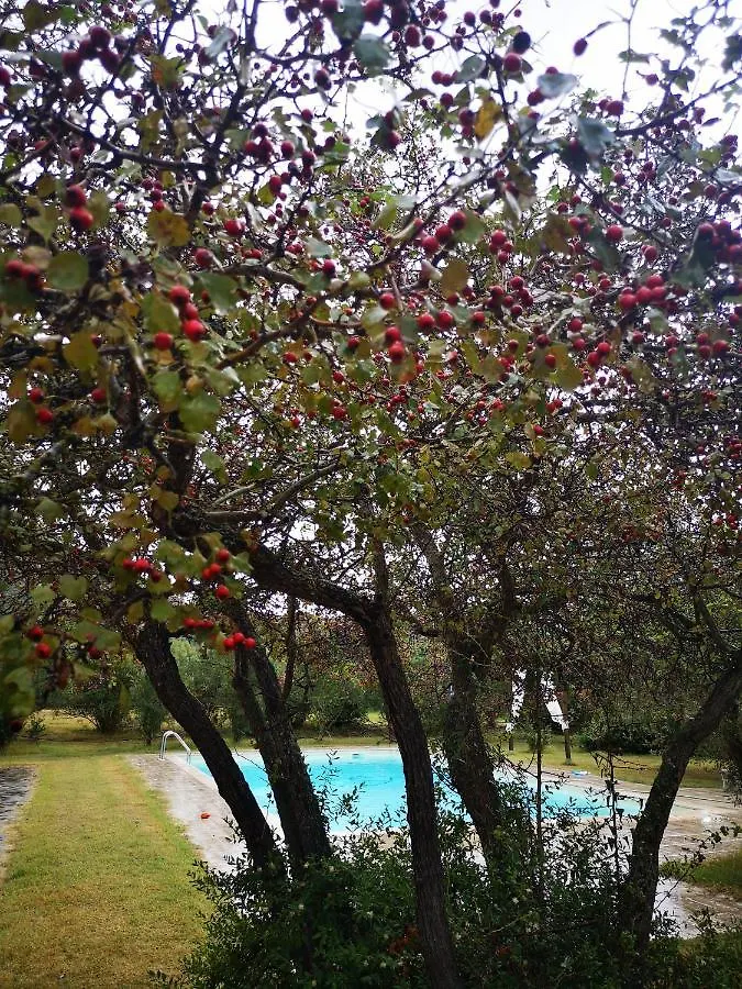 Villa Paola Castiadas