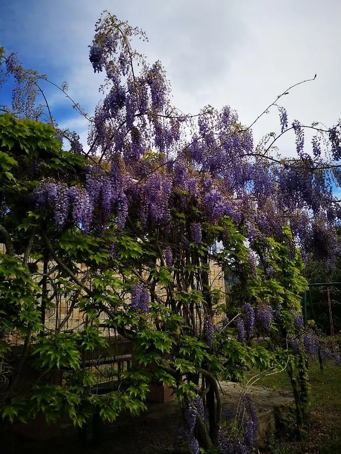Villa Paola Castiadas 0*,  Italy